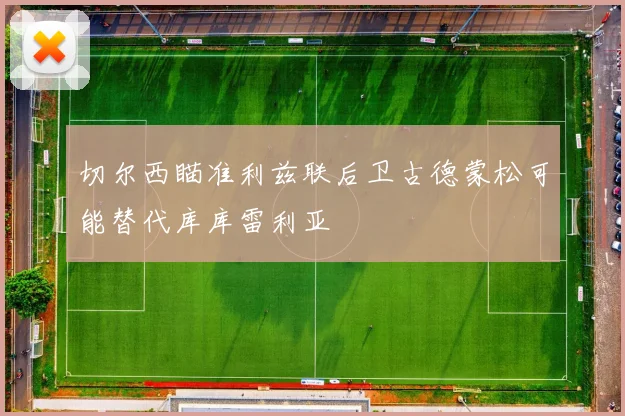 切尔西瞄准利兹联后卫古德蒙松可能替代库库雷利亚