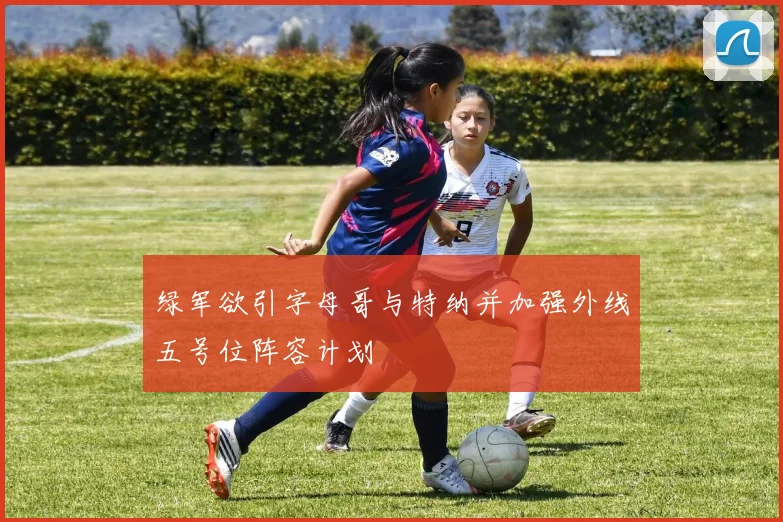 绿军欲引字母哥与特纳并加强外线五号位阵容计划